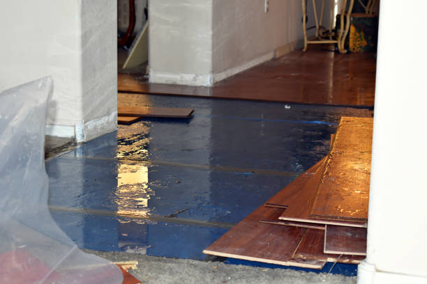 Professional Sewage Cleanup technician working in Stonington, CT